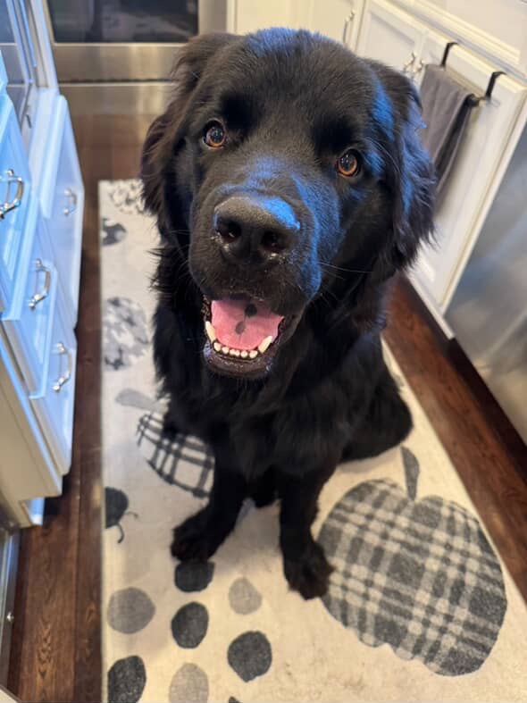 f382836b-446e-4418-b449-cf29b65f3648